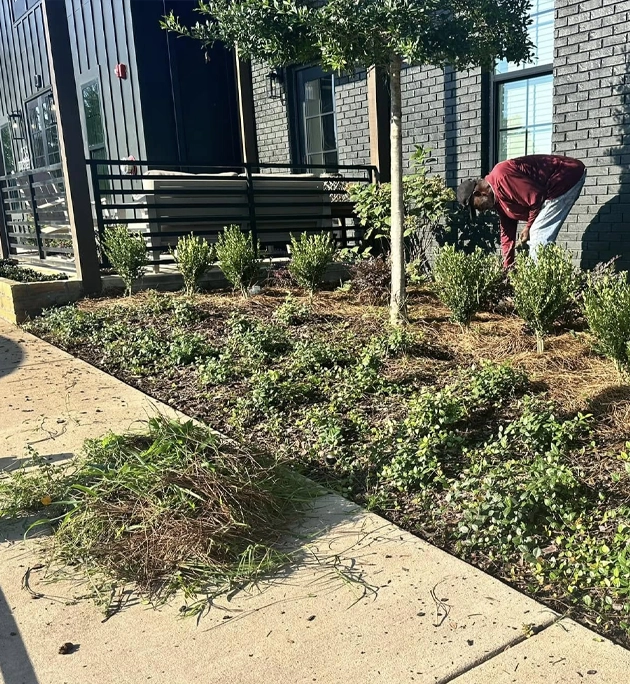 Landscape Installation